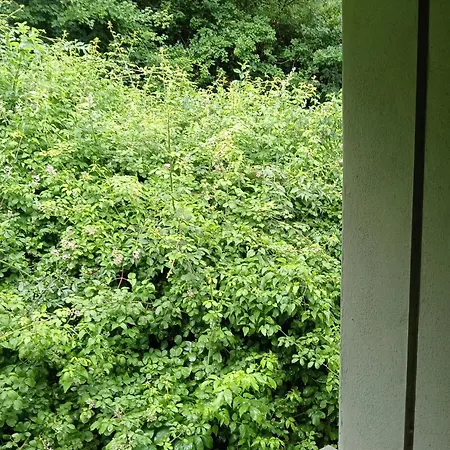 La Panoramica A بيت ريفي Molino del Pallone