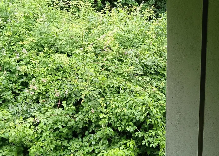 La Panoramica A Fogadó Molino del Pallone